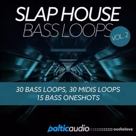 Baltic Audio Slap House Bass Loops Vol.2 [WAV, MiDi]