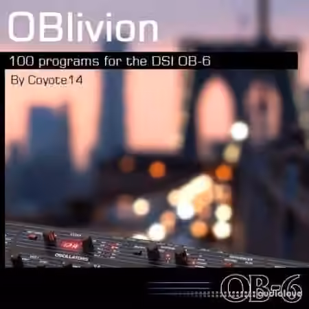 Barb and Co OBlivion Sound Set [Synth Presets]