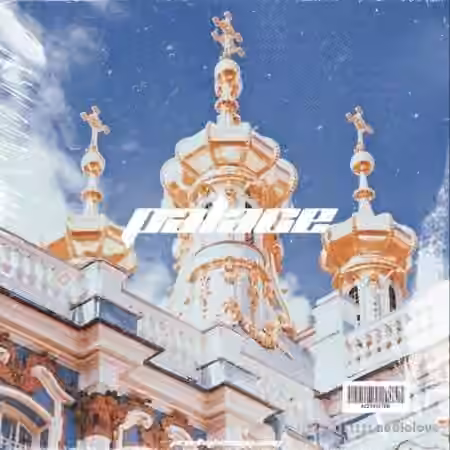 Bassyy PALACE Loop Kit [WAV]