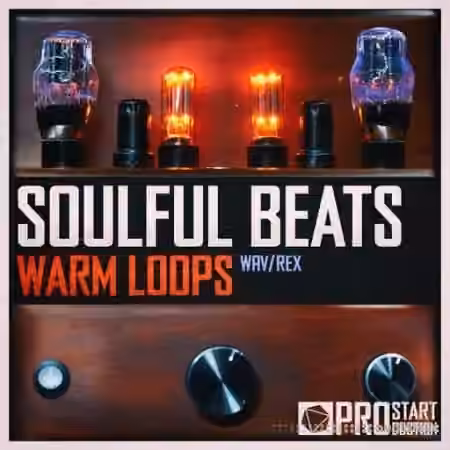 Beatrising Soulful Beats Warm Loops [WAV]