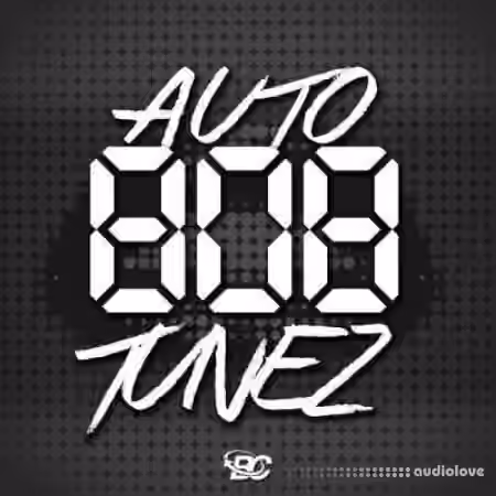 Big Citi Loops Auto 808 Tunez [WAV, MiDi]