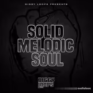 Big Citi Loops Solid Melodic Soul [WAV]