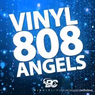 Big Citi Loops Vinyl 808 Angel [WAV]