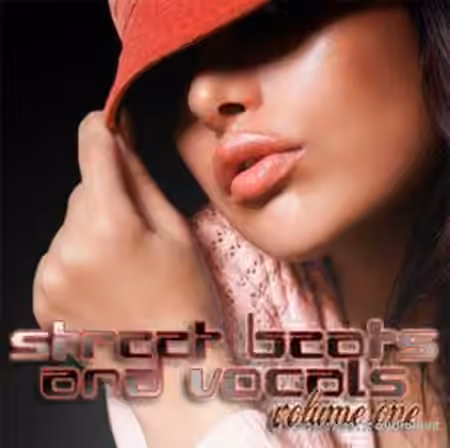 Big Fish Audio Street Beats and Vocals Vol.1 [MULTiFORMAT]