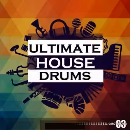 Bingoshakerz Micro Ultimate House Drums [WAV]