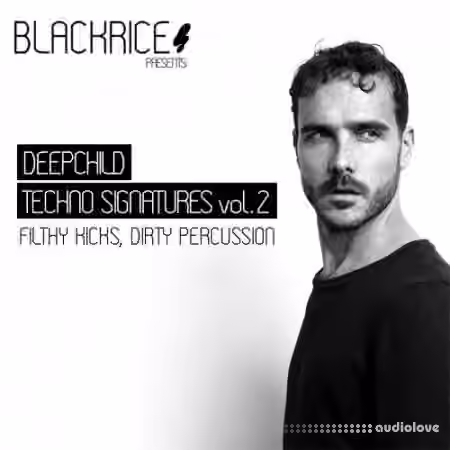 Blackrice Deepchild Techno Signatures Vol.2 [WAV]