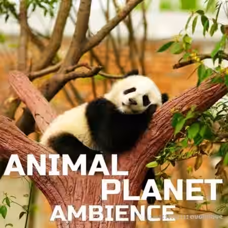 Cloud Nine Records Animal Planet Ambience [FLAC]