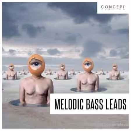 Concept Samples Melodic Bass Leads [WAV]