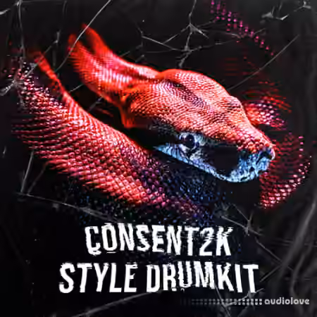 Consent2k Style (Drumkit) [WAV, DAW Presets]