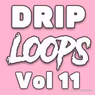 DiyMusicBiz Drip Loops Vol.11 [WAV]