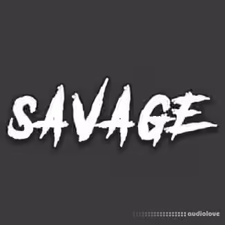 DiyMusicBiz Savage [WAV]