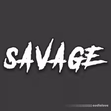 DiyMusicBiz Savage [WAV]
