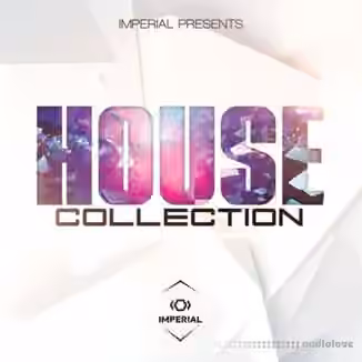 Dynasty Loops House Collection [WAV]