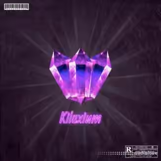 Dynasty Loops Kilaxium [WAV]