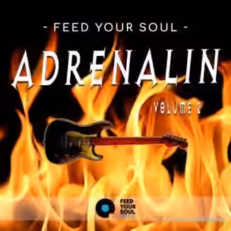 Feed Your Soul Music Feed Your Soul Adrenalin Volume 2 [WAV]