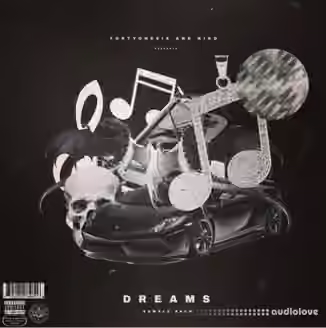 FortyOneSix x Nik D Dreams (Loop Kit) [WAV]