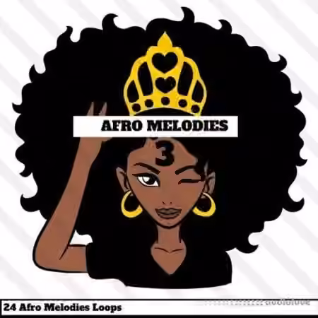 HOOKSHOW Afro Melodies 3 [WAV]