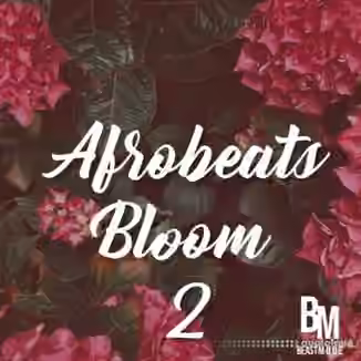 HOOKSHOW Afrobeats Bloom 2 [WAV]