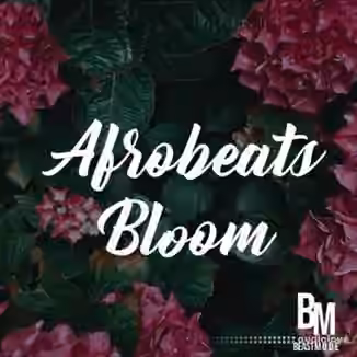 HOOKSHOW Afrobeats Bloom [WAV]