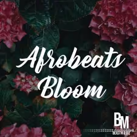 HOOKSHOW Afrobeats Bloom [WAV]