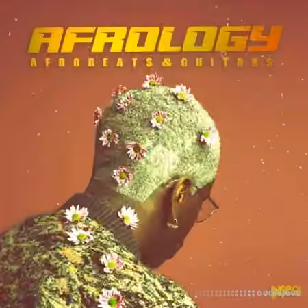 Inqboi Afrology: Afrobeats and Guitars [WAV, MiDi]