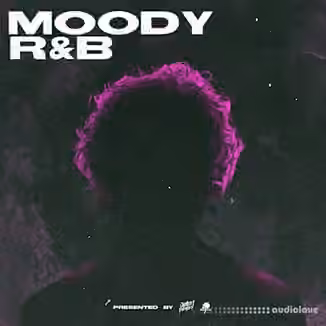 Jazzfeezy Moody RnB (James Penley X Jazzfeezy) [WAV]