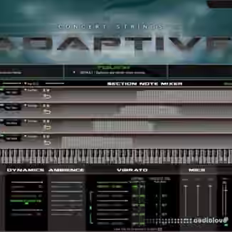Kirk Hunter Studios Concert Strings Adaptive [KONTAKT]