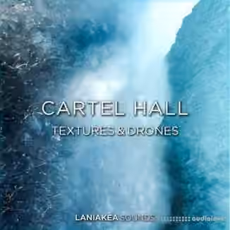 Laniakea Sounds Cartel Hall Textures And Drones [WAV]