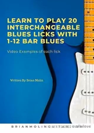 Learn To Play 20 Interchangeable Blues Licks With 1- 12 Bar Blues: Beginner to Intermediate Levels