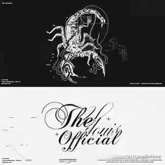 Llouis Official Drum Kit Vol.3 [WAV]