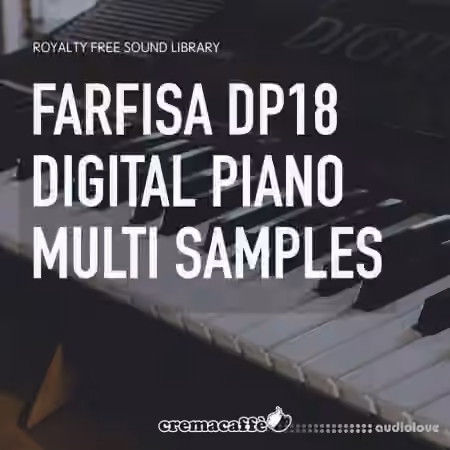 LofiAndy Sounds Farfisa Dp18 Digital Piano Multi Samples [WAV]