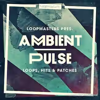Loopmasters Ambient Pulse [WAV, REX]