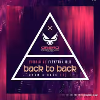 Loopmasters B2B Hybrid Vs Elektrik Blu [MULTiFORMAT]