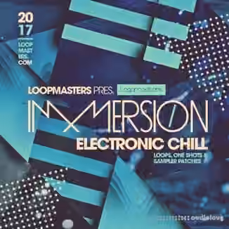 Loopmasters Immersion Electronic Chill 1 [MULTiFORMAT]