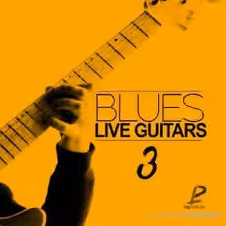 Luigi Production Blues Live Guitars 3 [WAV]