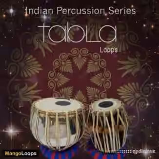 Mango Loops Indian Percussion Series Tabla [WAV, AiFF]