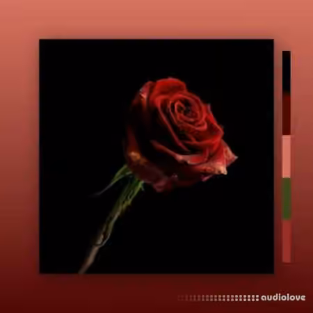MarcDBeats Rose [WAV]