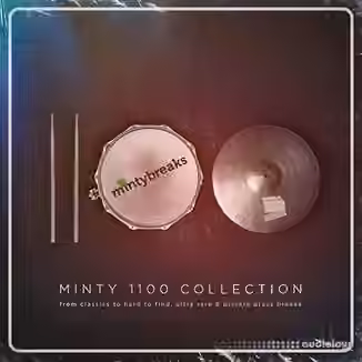 Minty Drums Presents Minty 1100 Breaks [WAV]