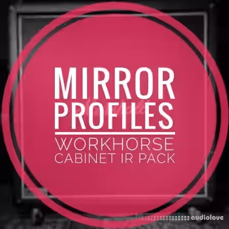 MirrorProfiles WORKHORSE CABINET IR PACK