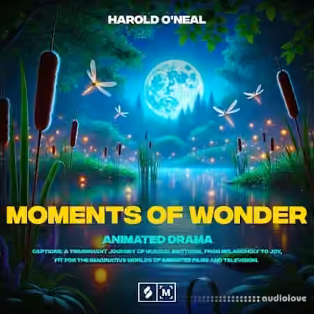 Montage by Splice Moments of Wonder: Animated Drama [WAV]