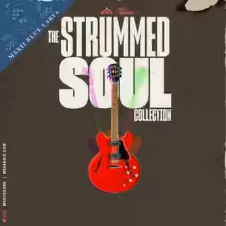 MSXII Sound Design Strummed Soul Collection (Compositions and Stems) [WAV]
