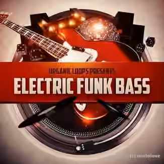 Organic Loops Electric Funk Bass [WAV, REX]