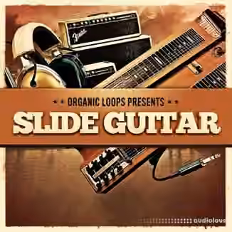 Organic Loops Slide Guitar [WAV, REX]