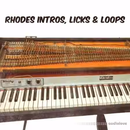 PastToFutureReverbs Rhodes Intros Licks and Loops [WAV, REX]
