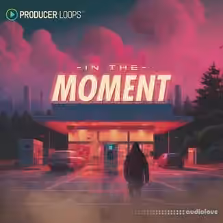 Producer Loops In The Moment [MULTiFORMAT]