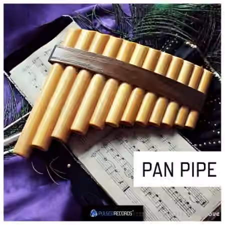 Pulsed Records World Series: Pan Pipe [WAV]