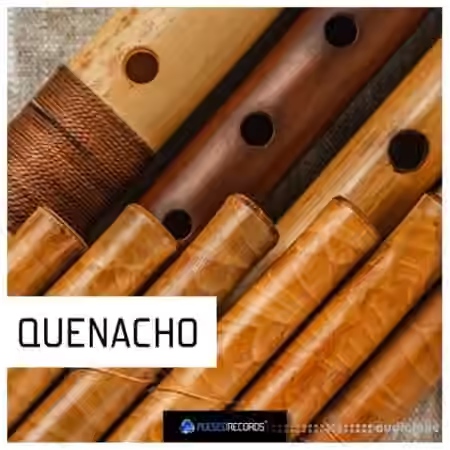 Pulsed Records World Series: Quenacho [WAV]