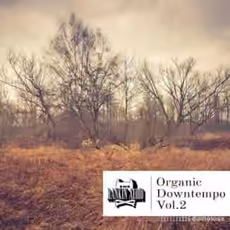 Rankin Audio Organic Downtempo Vol.2 [WAV]