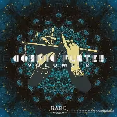 RARE Percussion Cosmic Flutes Vol.2 [WAV]