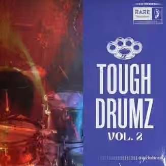 RARE Percussion Tough Drumz vol.2 [WAV]